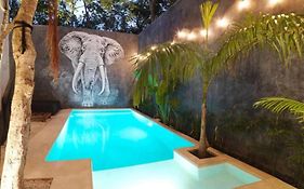 Whithe Elephat Casa Boutique We